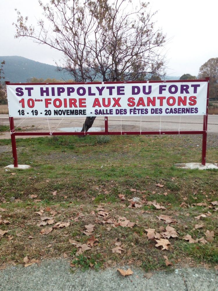 St Hippolyte du Fort